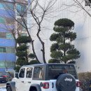 워시봉셀프세차 이미지