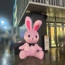 주식회사 친절한상희씨 | 신촌 전시 괴담에 떨어져도 출근을 해야 하는구나 &#39;어둠탐사기록 - 살아남은 자의 기록전&#39; 후기