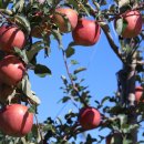 고북농장 이미지