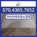 부산아파트청소업체 사하역 비스타동원 추천하는 이유