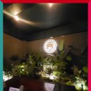 수원-0740 이미지