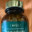 메카브 | 후코이단 1년 복용 후기: 편두통이 정말 완화되었을까? 효능, 부작용, 휴약기 총정리