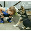 16 이미지