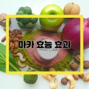 마카의 놀라운 효능을 알면 놀라움을 금치 못한다. 이미지