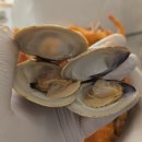 영일 | 수원 농수산물 시장 영일수산 – 가리비, 새우, 꽃게 후기