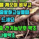 개대황-장과 위 세척작용, 오래된 묵은변 배출과, 습관성변비에 탁월, 몸이가벼워지며, 고지혈증과 뇌혈관병 예방, 담즙분비 촉진과 담석을 이미지