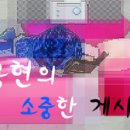 레드터틀