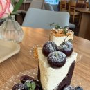 [단미디저트카페] 5세 아이랑 남편과 데이트! 창원 가로수길 케이크 맛집 힐링 후기