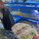 싱싱활어도매센타 | 수원 도다리 맛집 희망수산 수원농수산물도매시장점!