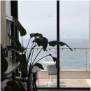 제주아를 이미지