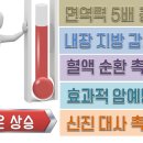 THE쉼(더쉼) 네이버블로그
