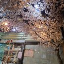 뚱보집 홍성법원점 | 홍성법원 가성비 맛집 &#34;본전&#34;에서 즐긴 고등어구이 &amp; 순두부찌개와 소박한 한잔