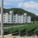 광혜원면행정복지센터 티스토리