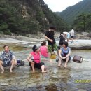 무릉계곡힐링캠프장 이미지