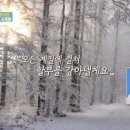 성남대로144번길 이미지
