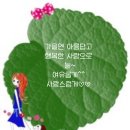 김세현과 좋은 친구들 이미지