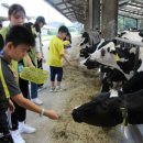 늘해랑학교 이미지