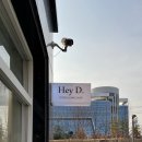 Hey D.(헤이디) - 화성시 오산동 | Hey D.(헤이디)