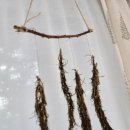 로즈마리 스머지스틱 만들기 이미지