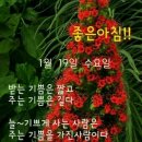 대한얼음
