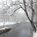 대왕농장1 이미지