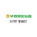 비젼피엔씨