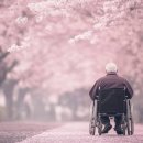 늘돌봄재가노인복지센터 이미지