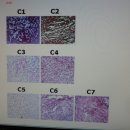 구로-구로-구로-1571 이미지