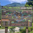 장령산자연휴양림야외음악당 네이버블로그