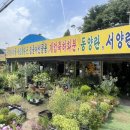 식물꽃나라 이미지