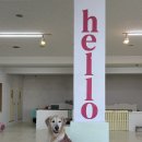 몽블리 애견카페 이미지