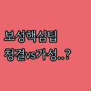 백악관모텔 | 보성 숙소 예약 팁 청결과 가성비 사이 내 취향에 맞는 최고의 숙소 선택 가이드