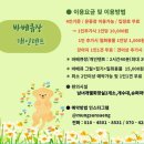 멍선생 애견카페 이미지