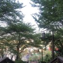 뉴곰돌이야식 이미지