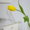 WANTSOME DESSERT 이미지