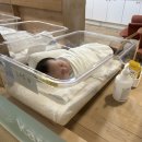 카렌시아워시 이미지