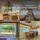 숨숨집 - 제주시 수룡2길 55-81 | 제주 서쪽 감성 숙소 숨숨집 강생이 내돈내산 방문후기