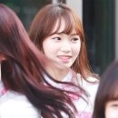 김채원 카카오 검색결과