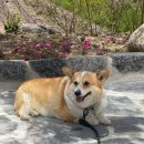 (주)몰더바래 | 강릉 1박2일 🍲 차현희순두부 웨이팅 후기 + 짬뽕순두부 솔직 리뷰