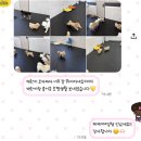 GS25서면학원가점 | 부산 서면 애견호텔 추천 우리집첫째, 강아지 유치원 솔직 리뷰