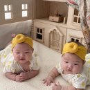 딜리커넥트 | [디어딜리 베스트 도넛터번] 신생아 헤어밴드, 왜 이게 출산선물 1순위인지 데이터로 뜯어봤습니다