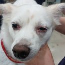 횡성동물병원 이미지