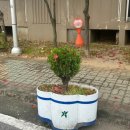 인동30길-4 이미지