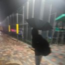 지윤솔루션 이미지