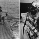 대신자원 이미지