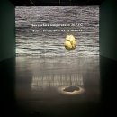 시립미술관 서소문본관 | 최재은 《 약속(Where Beings Be) 》 관람 후기 | 서울시립미술관 서소문본관