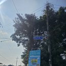 캐릭터 캠핑램프 | 제주 서귀포 가볼만한 곳 &#39;놀멍쉬멍 짱구 팝업스토어&#39; 방문기/가족 여행 추천 코스