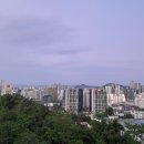 친절한족발