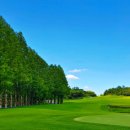 자유컨트리클럽 이미지