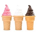 레오소프트 이미지